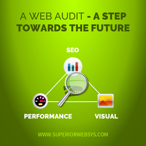 A Web Audit