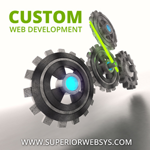 Custom Web Development